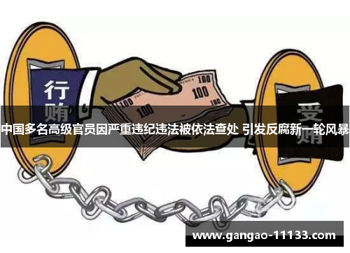 中国多名高级官员因严重违纪违法被依法查处 引发反腐新一轮风暴
