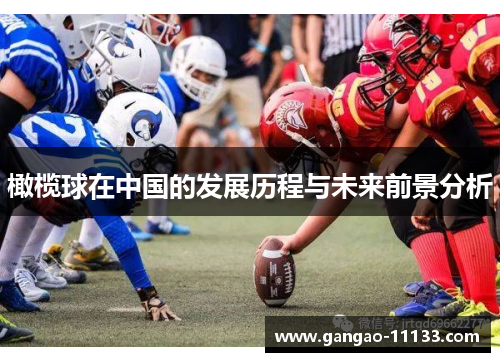 橄榄球在中国的发展历程与未来前景分析
