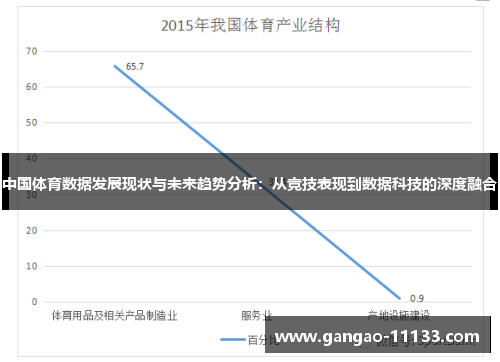 中国体育数据发展现状与未来趋势分析:从竞技表现到数据科技的深度融合